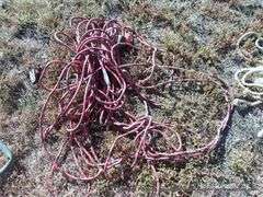 LOT: EXTENSION CORDS