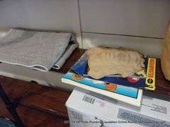 CONTENTS OF SHELVES: TUPPERWARE LIDS, GULF WAX, STICKERS, HAND DÉCOR, GLASS JARS, HEAT BATH