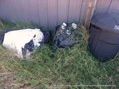 LOT: TRASHCAN, HOSES, SPRINKLER, BUCKETS, FLOWER POTS