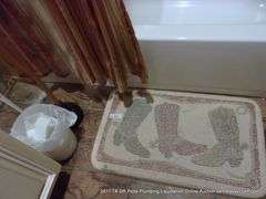 LOT: BATHROOM MAT, TRASHCAN, PLUNGER, BATH CURTAIN