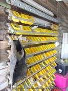 LOT: CONTENTS ONLY **YELLOW BINS NOT INCLUDED**