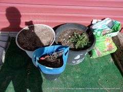 LOT: BIG FLOWER POTS W/ SOIL