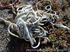 LOT: ROPES AND CHAINS