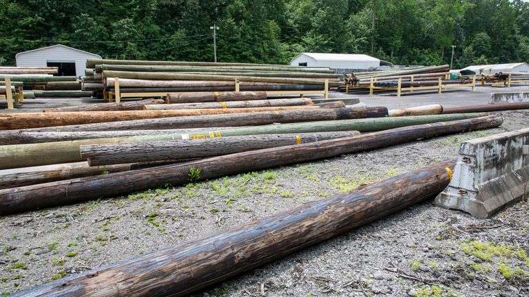 LOT: 150+/- TELEPHONE POLES