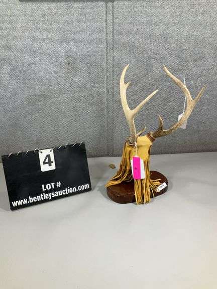 DISPLAY ANTLERS