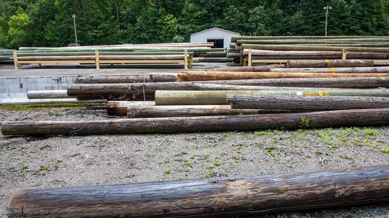 LOT: 150+/- TELEPHONE POLES