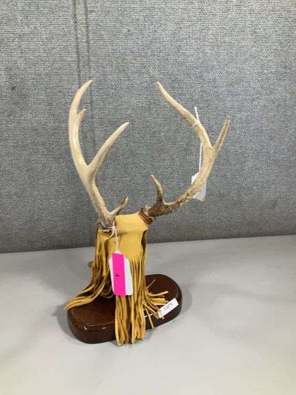 DISPLAY ANTLERS