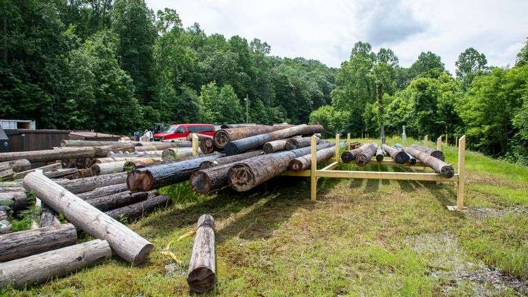 LOT: 150+/- TELEPHONE POLES