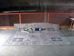 AREA RUG, 7'10" X 10'