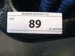 BLACK TOTE W/ BLUE WATER HOSE