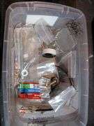 PLASTIC TOTE W/ MISC. ITEMS