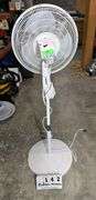 RINKING OSCILLATING AREA FAN