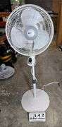 RINKING OSCILLATING AREA FAN