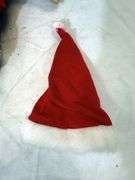 SANTA CLAUS DOG SANTA