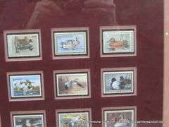 14" X 18" FEDERAL RW - DEPARTMENT OF INTERIOR DUCK COLLECTION STAMP DISPLAY DUCK STAMPS - RW49-60