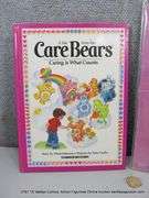 LOT: (3) CARE BEARS MERCH "CARE FOR YOU" VINYL, SUNSHINE BEAR & BOOK