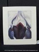 "BLACK IRIS" 14 X 16
