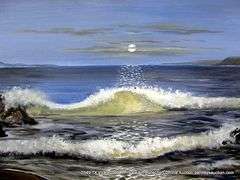 UNKNOWN: OCEAN WAVES UNDER THE MOONLIGHT