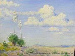 DESERT YUCCA LANDSCAPE