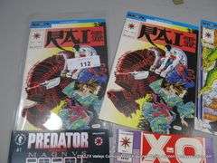 COMIC BOOK GRAB BAG: VALIANT/"RAI"