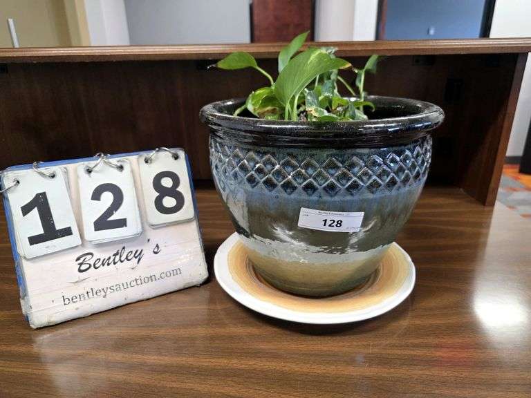 HEART IVY W/ POT