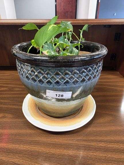 HEART IVY W/ POT