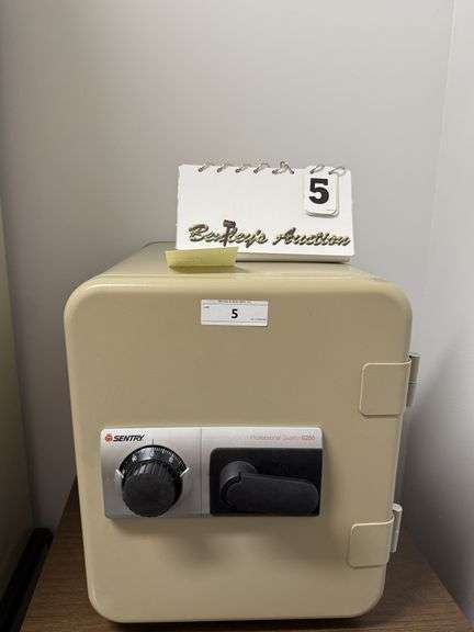 SENTRY PROFESSIONAL 6250 SAFE
