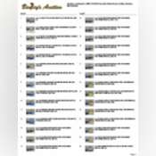 Thumbnail image of auction-catalog-2800-TX.pdf