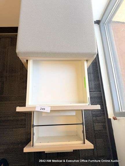 PADDED 2-DRAWER FILE CABINETS ON CASTERS