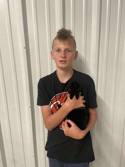 Best of Variety Mini Rex Black - Sterling Murray