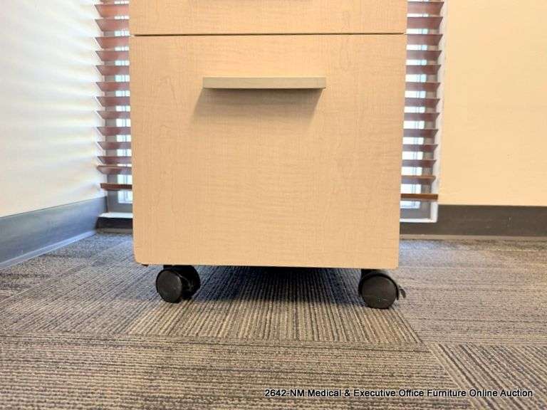 PADDED 2-DRAWER FILE CABINETS ON CASTERS