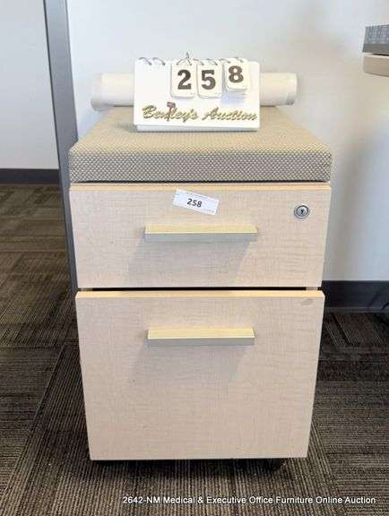 PADDED 2-DRAWER FILE CABINETS ON CASTERS