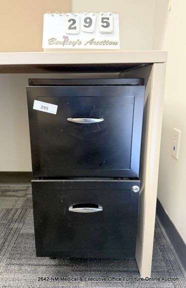 2-DRAWER BLACK FILE CABINET