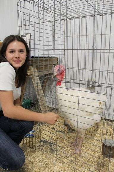 Reserve Champion of Division - White Holland - Payton Kellam