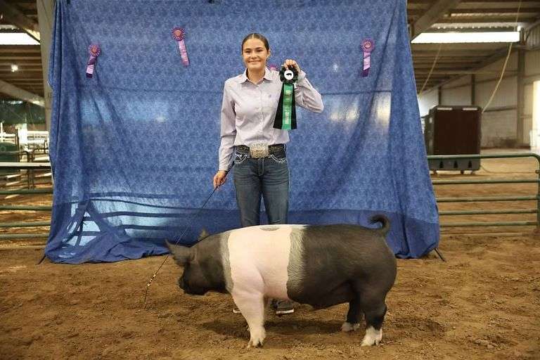 Grand Champion Market Swine - Evinn Pedroncelli
