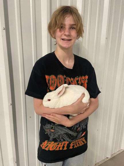 Best of Breed Mini Rex White - Aven Murray
