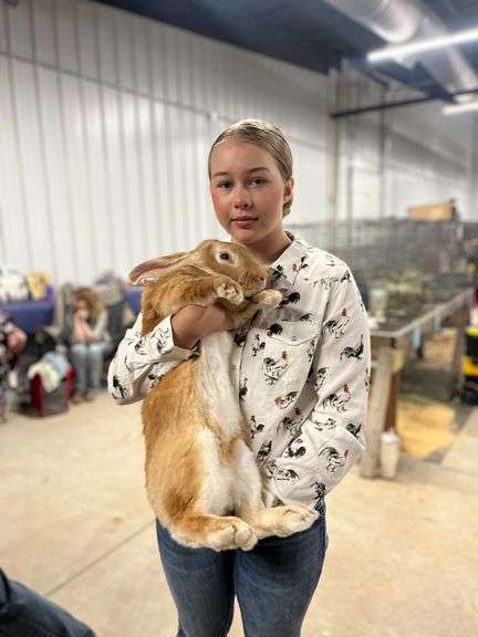 Reserve Grand Champion Flemish Giant - Ember Payne