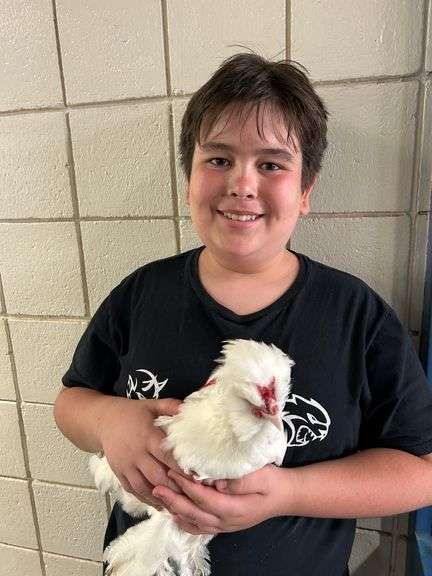 Feather Legged Bantams / Sultan - Cameron Duran