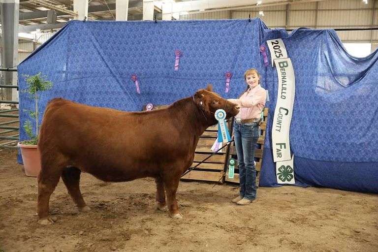 Grand Champion Market Beef - RaeAnna Gallegos