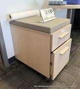 PADDED 2-DRAWER FILE CABINETS ON CASTERS