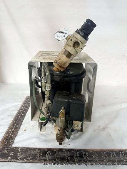 WERTHER INTERNATIONAL ECO-AIR PUMP