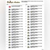 Thumbnail image of auction-catalog-2939-NM.pdf