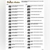 Thumbnail image of auction-catalog-3042-TX.pdf
