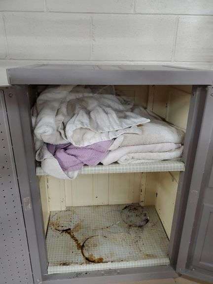 Gray composite storage cabinet measures 26 in WX 18 in DX 36 in H. Contents includes shop towels. Basement
