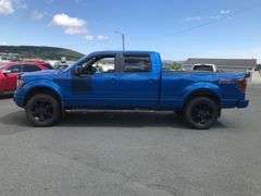 2012 FORD F-150 FX4 (PCX66237)