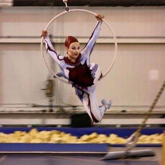 Private Online Aerial Class with Meagan Wegg