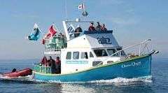Ocean Quest Safari