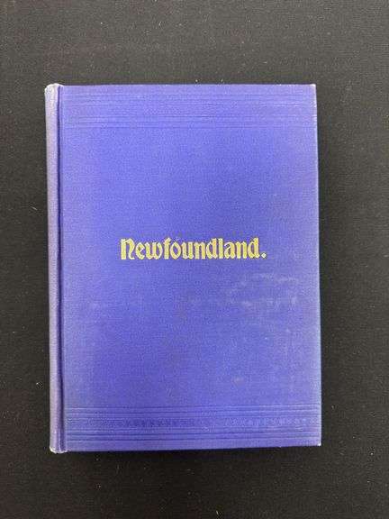 Newfoundland in 1900, 1900