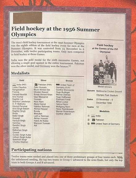 Field Hockey Sticks in Shadow Box