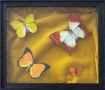 'Butterfly Box 25' by Peter Bell (1918-2015)